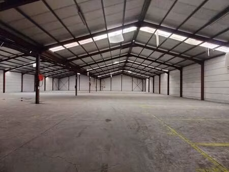 bien professionnel à louer à tessenderlo € 6.700 (lod1s) - oreon properties herentals | zi