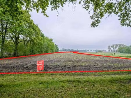 terrain à vendre à beerse € 65.000 (lod04) - boenders & wilmsen | zimmo