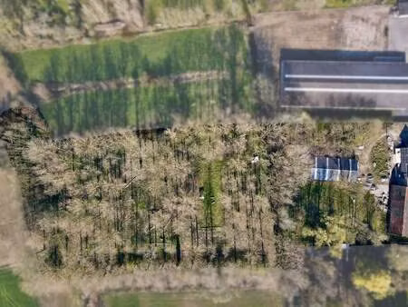 maison à vendre à waarschoot € 900.000 (lobg8) - prolan vastgoed | zimmo