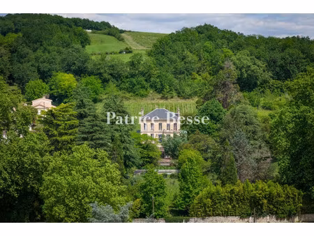 maison ancienne à vendre à lestiac-sur-garonne