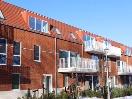 appartement à louer à rumst € 895 (lob5c) - lexximmo reet | zimmo