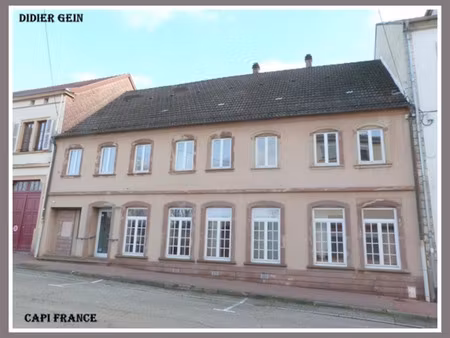 immeuble à vendre bitche 17 pièce(s) 507m2 96 000€