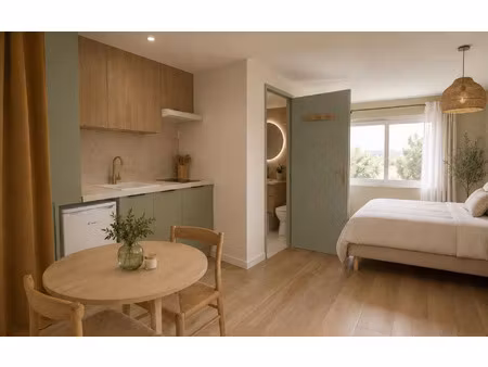 appartement tournefeuille 22.9 m² t-1 à vendre  99 000 €