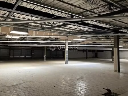 vente commerce vierzon 18100 5475m²