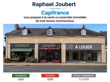 local professionnel à vendre beaumont sur sarthe 7 pièce(s) 800m2 300 000€
