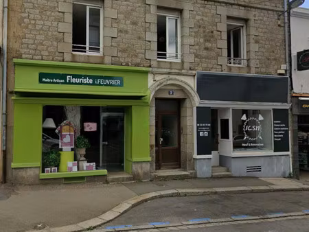 investissement locaux commerciaux fougères