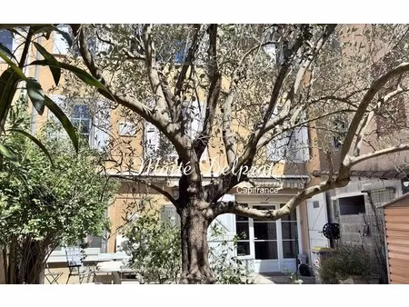 maison de village avec jardin  volumes exceptionnels et potentiel locatif malaucene (84)