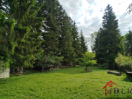 terrain de loisirs avec etang en pleine nature
