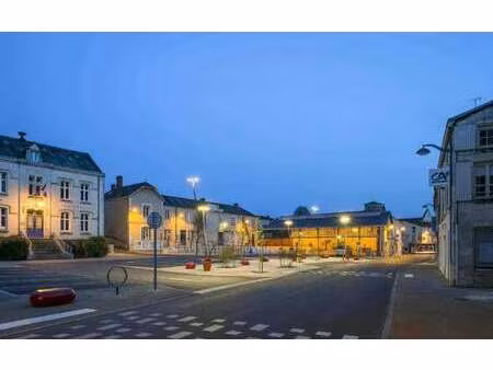 vente terrain à benet (85490) : à vendre / benet