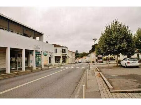 vente terrain à nesmy (85310) : à vendre / nesmy