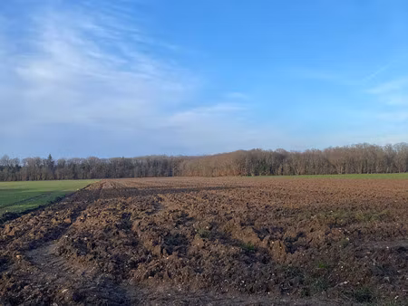 vente terrain 1150 m² champigny-la-futelaye (27220)
