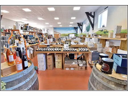 vente commerce 310 m² nonancourt (27320)