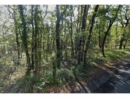 vente terrain 1700 m² à chasteaux (19600)  48 000 €