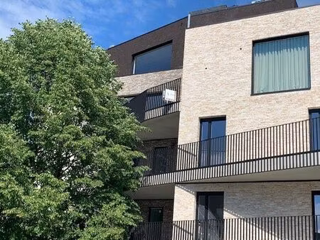 appartement à louer à moerstraat 5 wetteren (rbv93862)