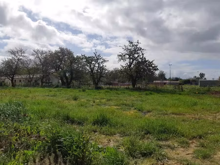 vente terrain 600 m² à dieupentale (82170)  57 000 €