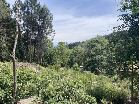 vente terrain 1500 m² à mercuer (07200)  75 000 €