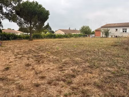 vente terrain 1093 m² à sainte-eulalie (11170)  50 000 €
