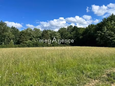 vente terrain à batir 1750 m² à creysse (24100)  50 000 €