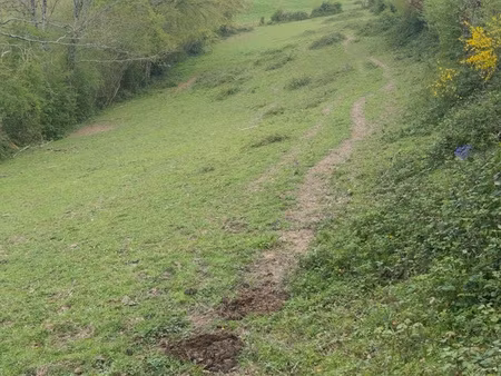 terrain en zonz calme avec ruisseau