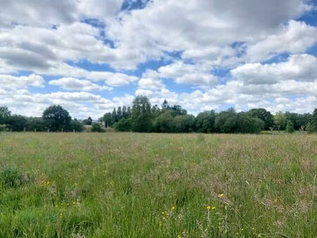 terrain constuctible de 6520m² divisible en 2 lots