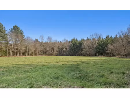 vente terrain 600 m² à saint-médard-en-jalles (33160)  225 000 €