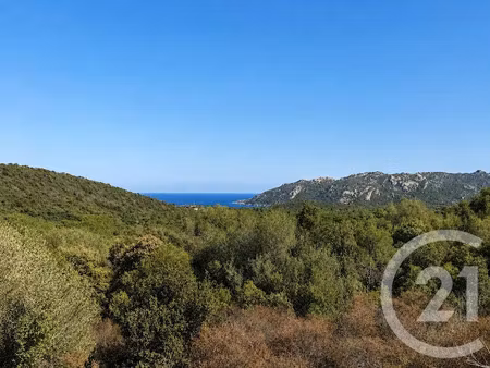 vente terrain à batir 1440 m² à porto-vecchio (20137)  280 000 €