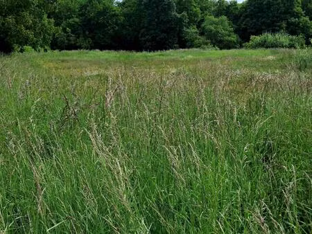 très jolie terrain à construire avec vue dégagée