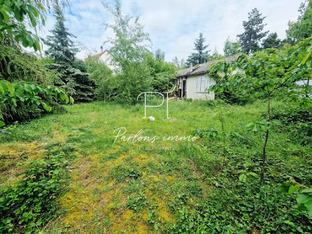 beau terrain plat gros bois