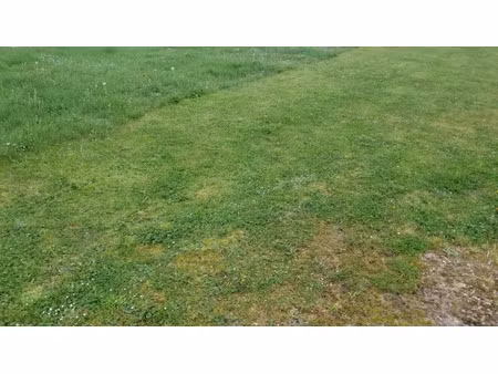 vente terrain 400 m² à créon (33670)  95 000 €