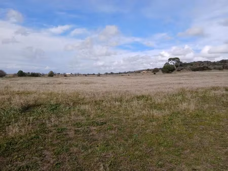 vente terrain 259 m² à bessan (34550)  109 900 €