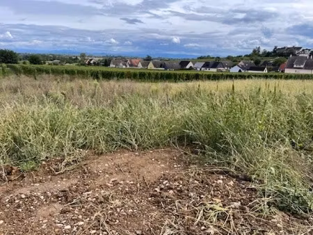 vente terrain 459 m² à beblenheim (68980)  133 000 €