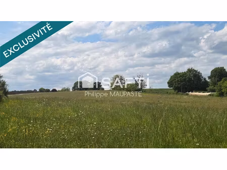 vente terrain 256590 m² à argenvières (18140)  160 000 €