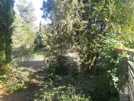 vente terrain 560 m² à montrabé (31850)  145 000 €