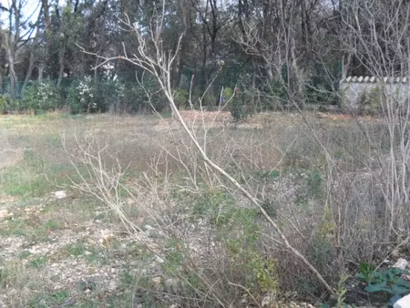 vente terrain 250 m² à candillargues (34130)  170 000 €