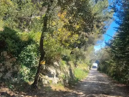 vente terrain à batir 2925 m² à falicon (06950)  630 000 €