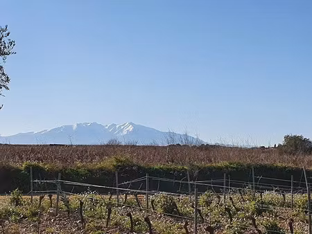 vente terrain 1745 m² à cabestany (66330)  390 000 €