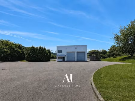 vente locaux professionnels 0 pièces 300 m² à valserhône (01200)  430 000 €