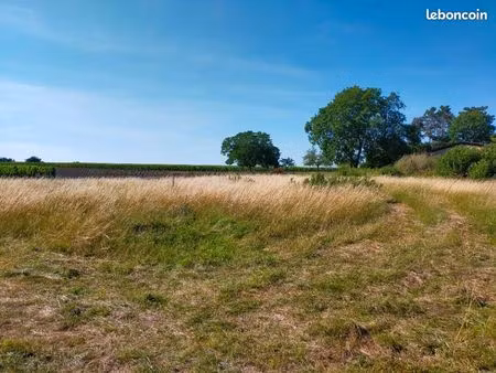 terrain 1 000 m² louzac saint andre