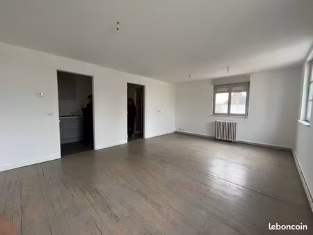 appartement 50m2 centre ville