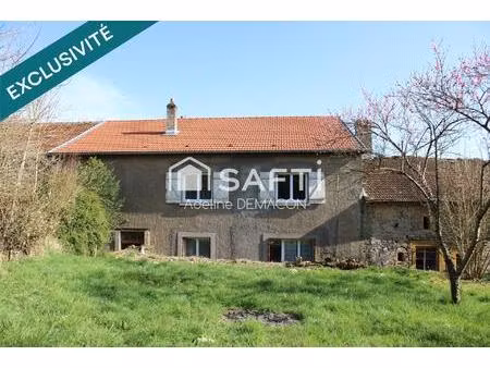 maison de village / 4 chambres / une grande grange et un jardin