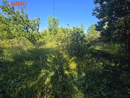 terrain constructible
