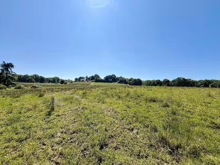 terrain constructible