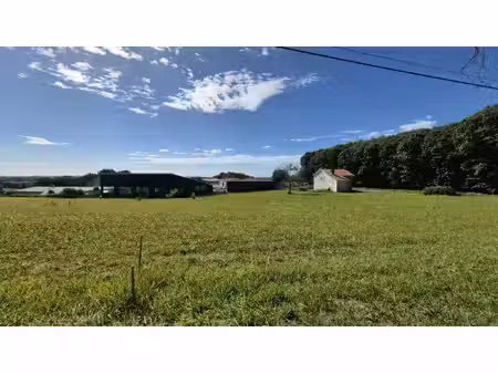 terrain n°2