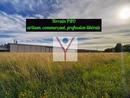 terrain commercial  artisanal et industriel