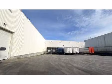 entrepôt logistique à louer à hoogveld à dendermonde