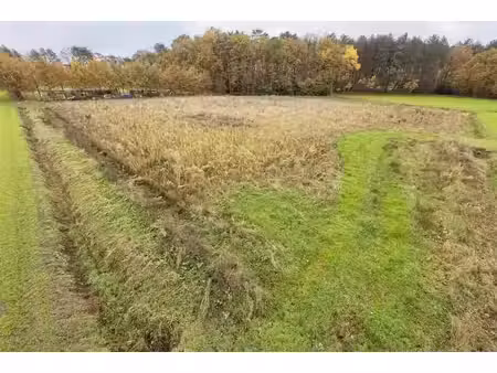 terrain