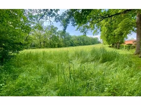 terrain rieumes m² t- à vendre  650 000 €
