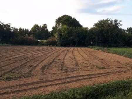 terrain de loisirs