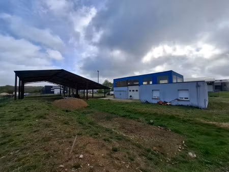 local professionnel à vendre la sauvagere 990m2 290 000€