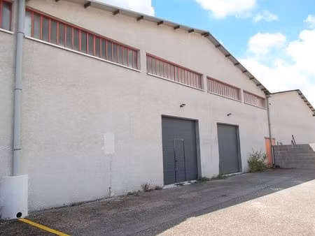 immobilier professionnel à louer décines-charpieu